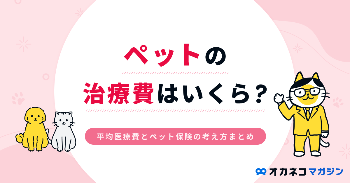 ペット（犬・猫）の治療費はいくら？ 平均医療費とペット保険の考え方まとめ