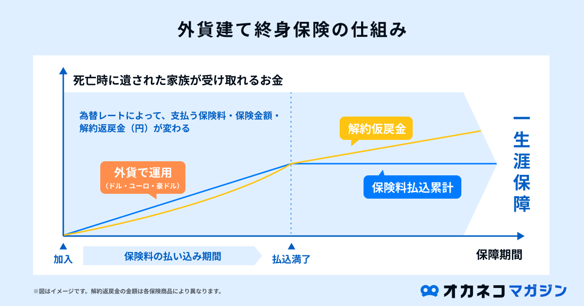 外貨建て終身保険の仕組み