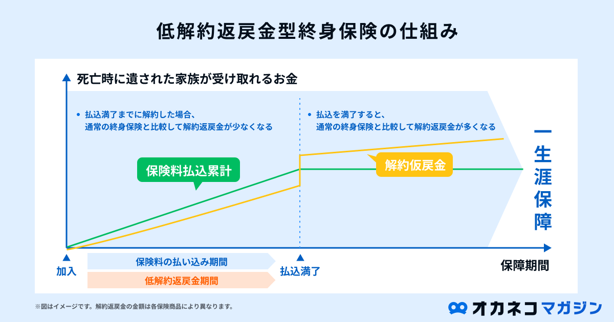 低解約返戻金型終身保険の仕組み